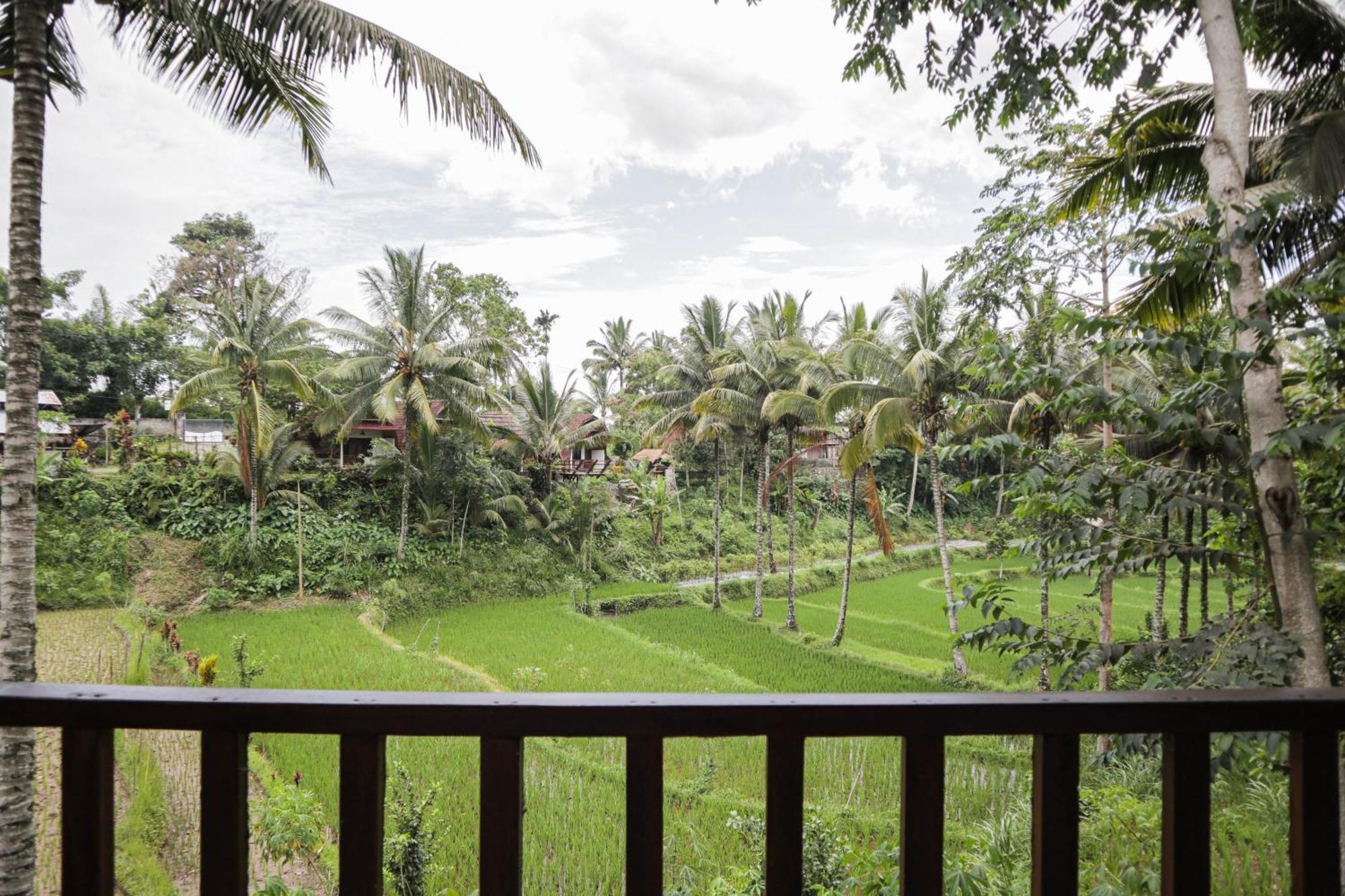 Nea Cottage Lombok Tetebatu Exterior foto