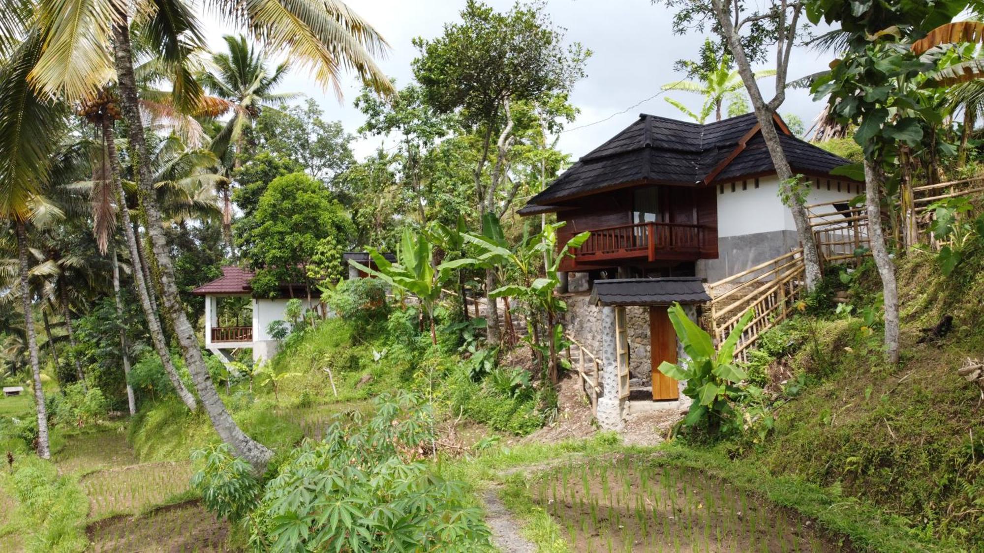 Nea Cottage Lombok Tetebatu Exterior foto
