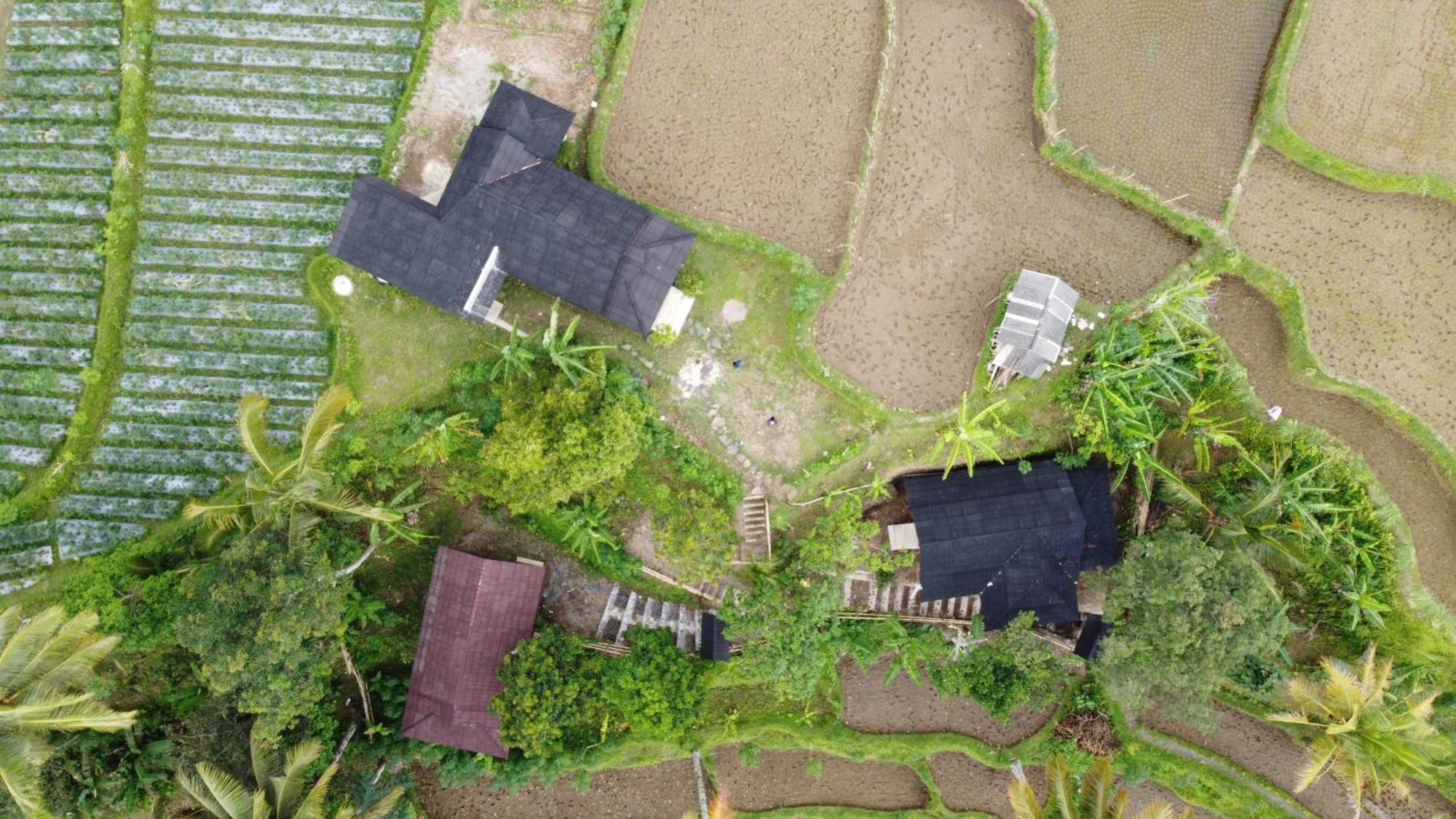 Nea Cottage Lombok Tetebatu Exterior foto